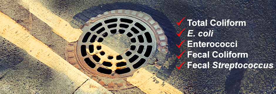 Sewage Contamination Testing